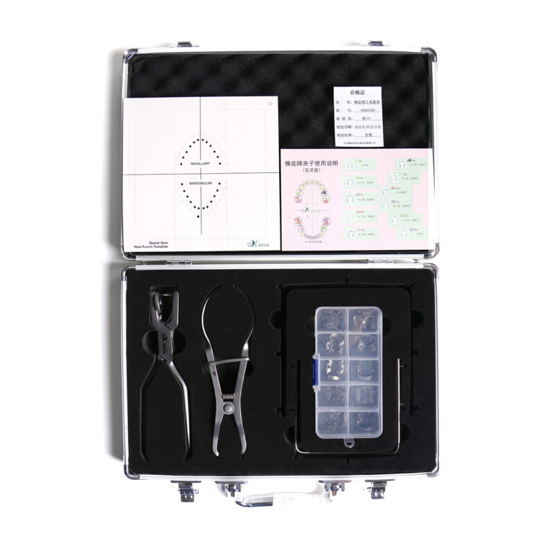 Deciduous Teeth Standard Set - 1440x1440 011 - Beijing OKVD Biological Technology Co., Ltd.