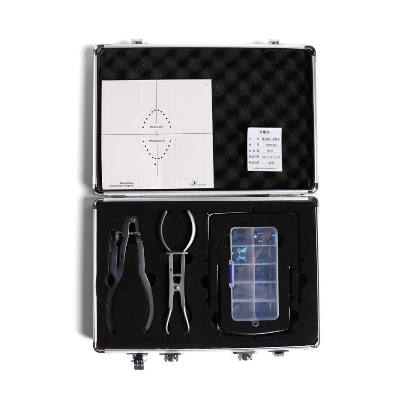 Permanent Teeth Deluxe Set - 1440x1440 021 - Beijing OKVD Biological Technology Co., Ltd.