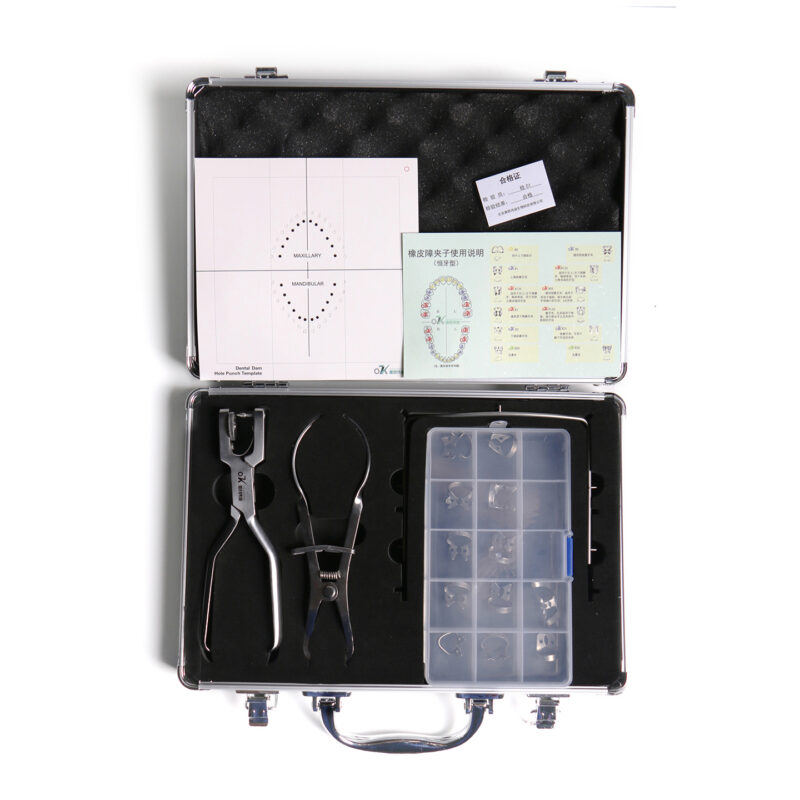 Permanent Teeth Classic Set - 1440x1440 022 - Beijing OKVD Biological Technology Co., Ltd.